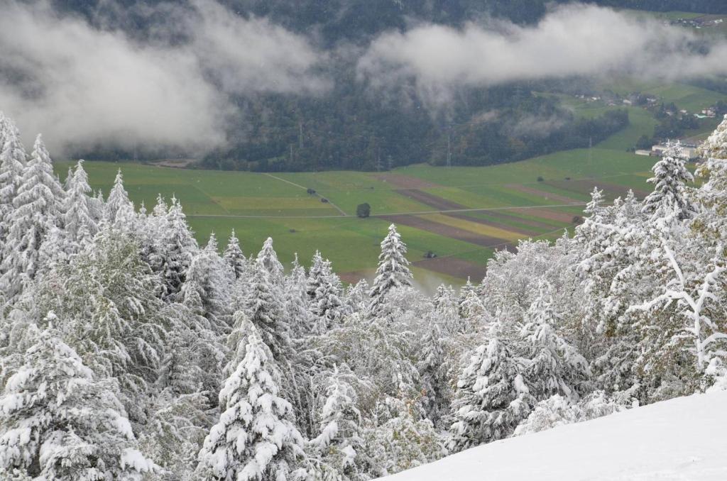 Pension Spiegl Seefeld in Tirol Exteriér fotografie