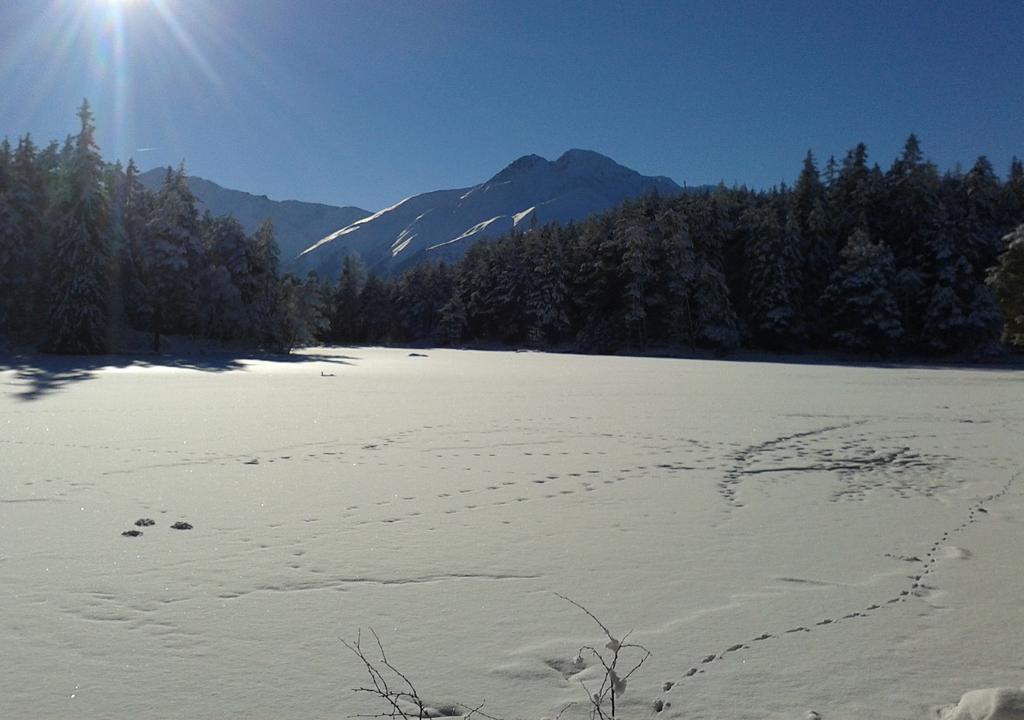 Pension Spiegl Seefeld in Tirol Exteriér fotografie